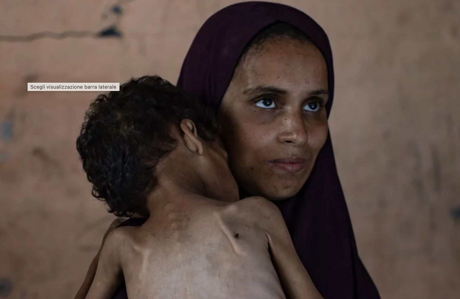“GENOCIDIO A GAZA? MA SE FANNO UNA BELLA VITA!” di Enrica Perrucchietti*